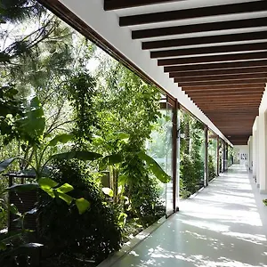 The Lifeco Bodrum Well-being Detox Center&vegan فندق